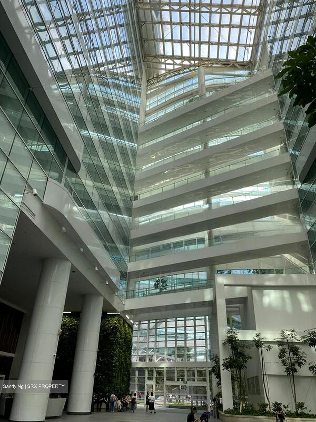 Solaris (D5), Office #456081601